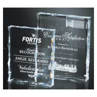 Sculpted Acrylic Block