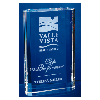 Merit Crystal Award
