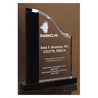 Black & Clear Crystal Award