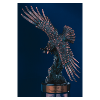 Soaring Eagle Award