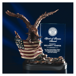 Eagle with American Flag