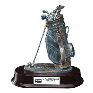 Pewter & Gold Golf Bag