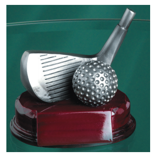Golf Wedge Award