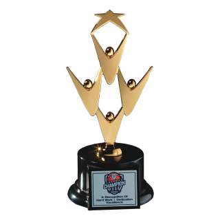 Star Performer Award 