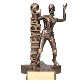 Signboard Female Volleyball Trophy
